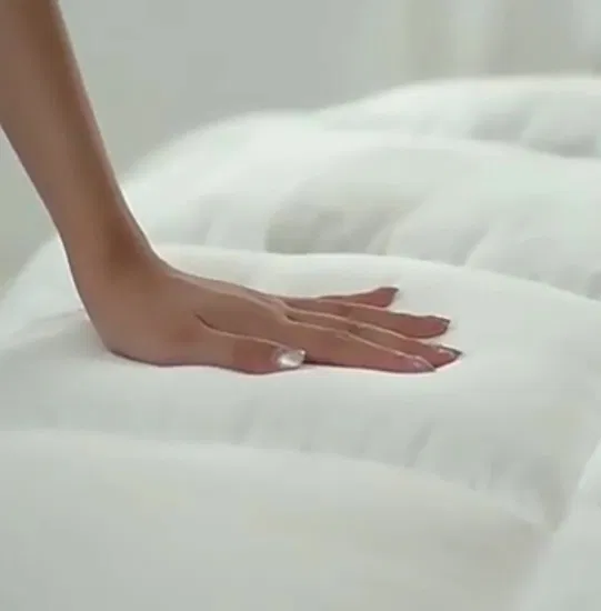 Hersteller Großhandel Luxus Premium Qualität gewaschene weiße Gänse-/Entendaunenfedern Bettdecke Steppdecke Einsatz für Hotel/Haus